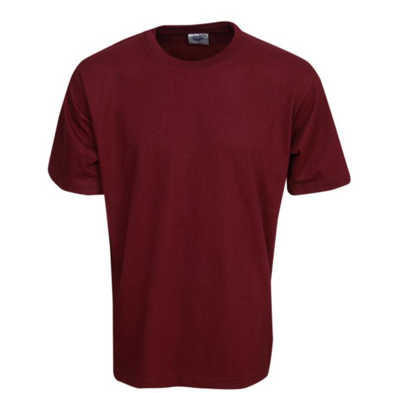 Youth Premium Pre Shrunk Cotton Tee Shirt Thumbnail