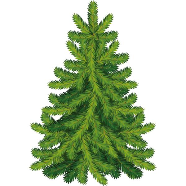 Christmas Trees 006 Thumbnail