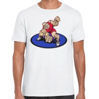 Mens Softstyle Tee Shirt Thumbnail