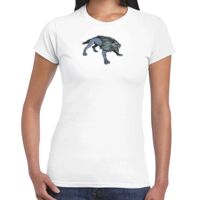 Womens Softstyle Tee Shirt Thumbnail