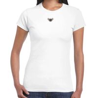 Womens Softstyle Tee Shirt Thumbnail