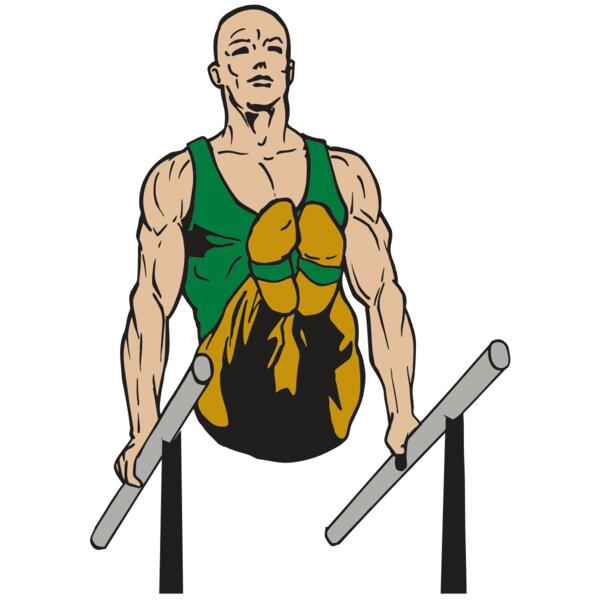 Gymnastics Thumbnail